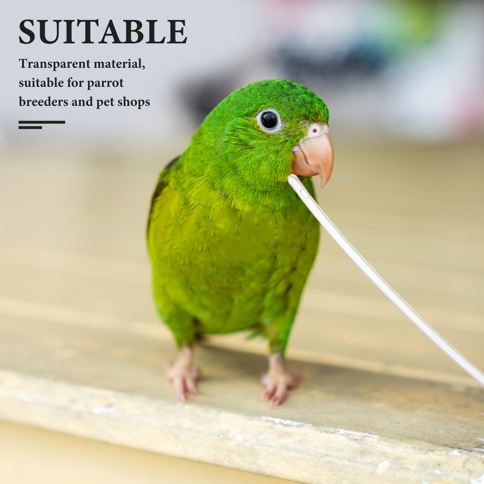 10Pcs Clear Soft Parrot Feeder - Baby Food Youtube ulasan dan harga